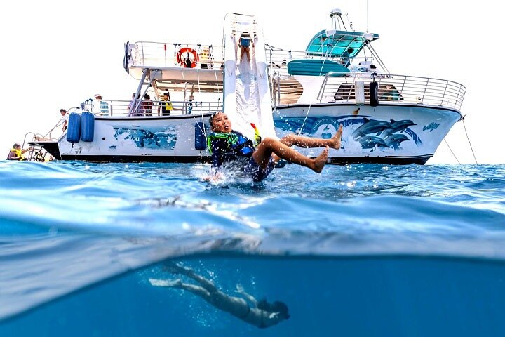 Oahu Dolphin and Snorkel Tour with Waikiki Pickup and Lunch, photo 3 of 10