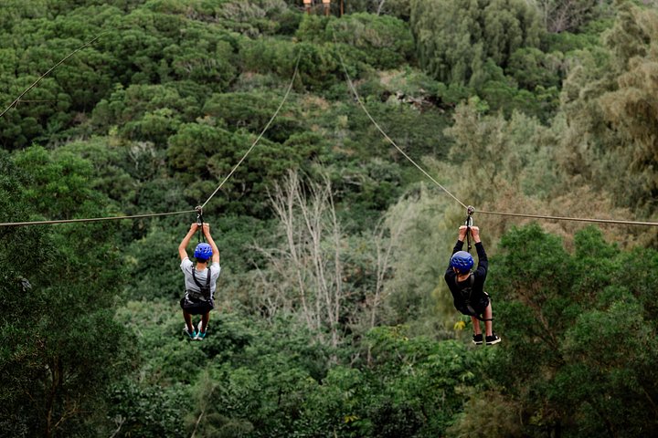 Oahu's North Shore: 8-Line Zipline Adventure, photo 3 of 10