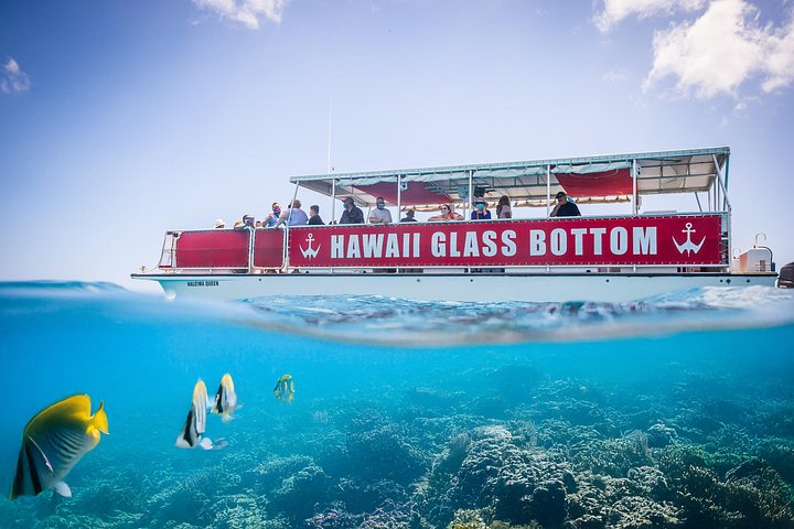 Waikiki Glass Bottom Boat Cruise, photo 2 of 10
