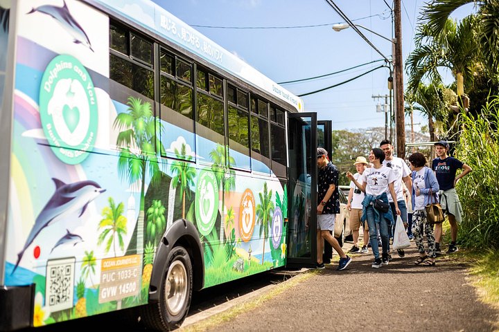 Oahu Circle Island Full Day Tour with Scenic Stops and Local Foods, photo 3 of 10