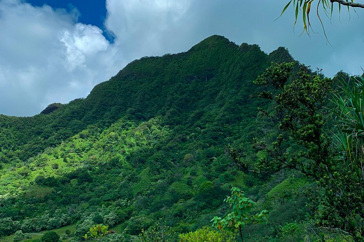 Kualoa Ranch: Jungle Expedition Tour, photo 8 of 10