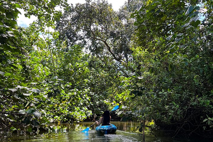 Kahana Bay River to Ocean: Kayak and Stand-Up Paddleboard Rental, photo 8 of 9