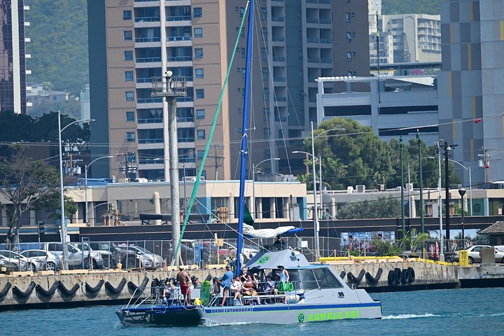 Oahu Catamaran Snorkel Tour: Turtles Guaranteed, photo 7 of 10