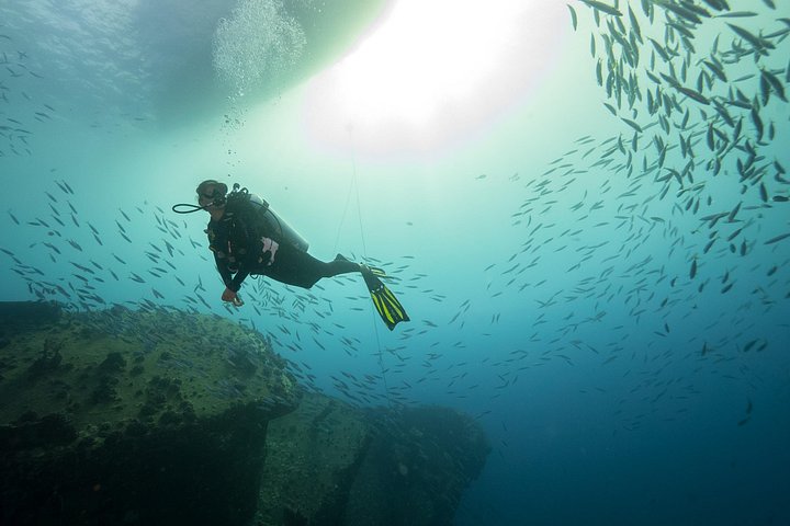 Certified Diver: 2-Tank Deep Wreck and Shallow Reef Dive off Oahu, photo 5 of 10