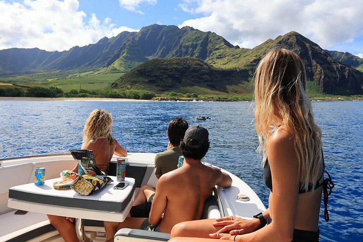 Swim With Dolphins and Turtles in West Oahu (Semi-Private Tours), photo 8 of 10