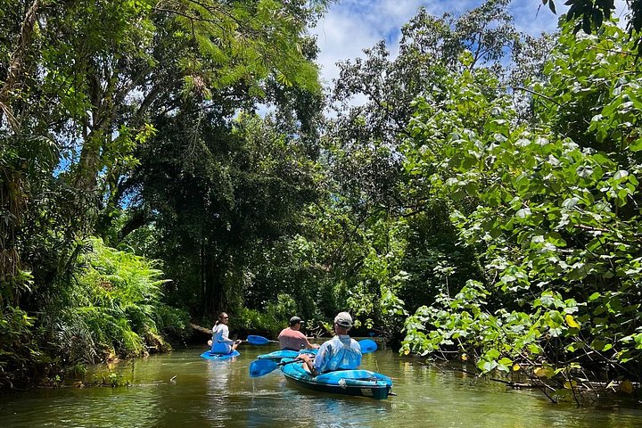 Kahana Bay River to Ocean: Kayak and Stand-Up Paddleboard Rental, photo 2 of 9