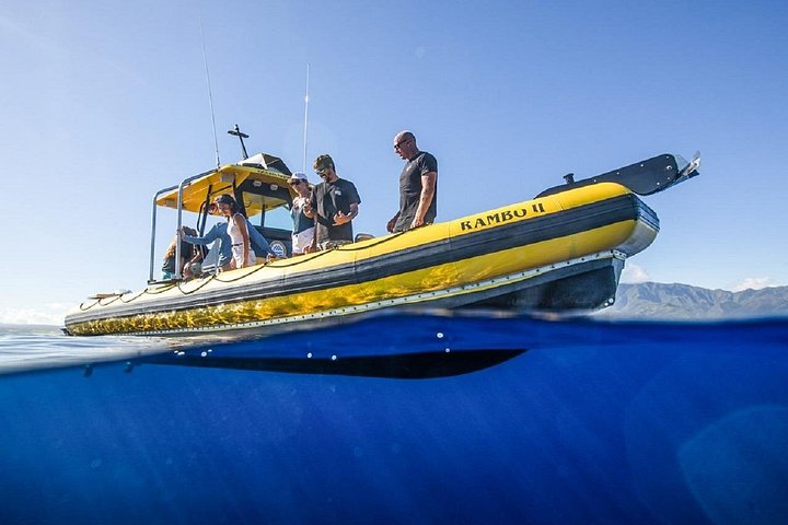 Shark-Dive Tour on Oahu's North Shore, photo 7 of 10