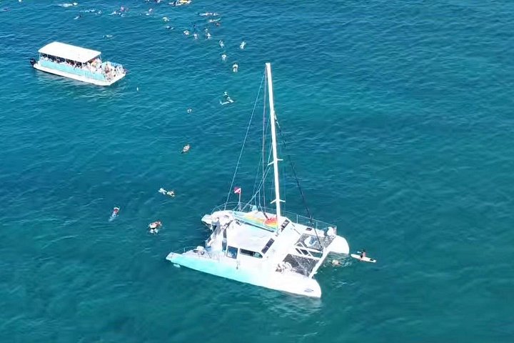 Waikiki Turtle Snorkel and Sail on the Hawea Catamaran, photo 4 of 10