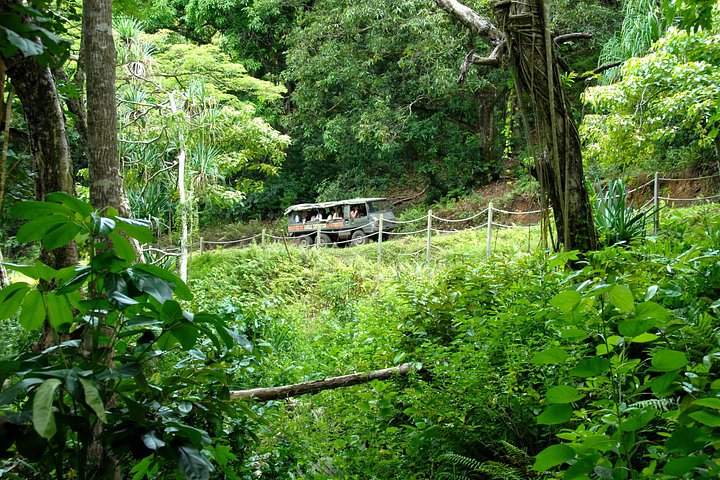 Kualoa Ranch: Jungle Expedition Tour, photo 2 of 10