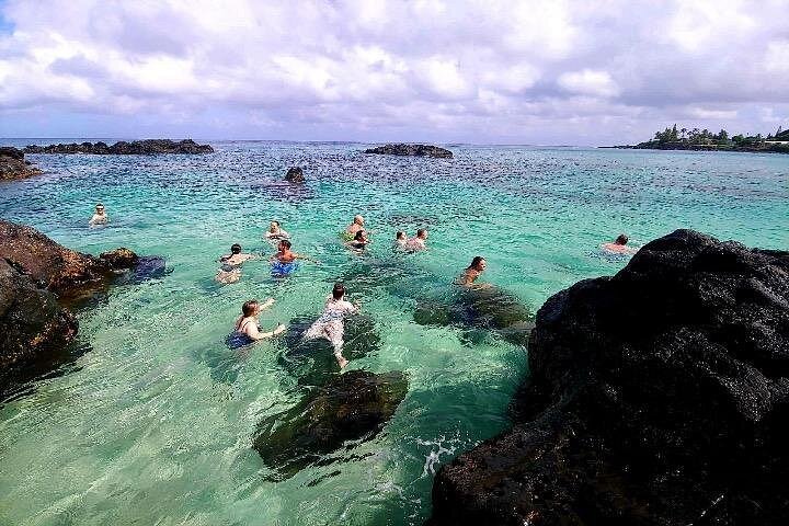 Kevo's Beach Bus Paddleboard and Snorkel Adventure, North Shore, photo 3 of 10