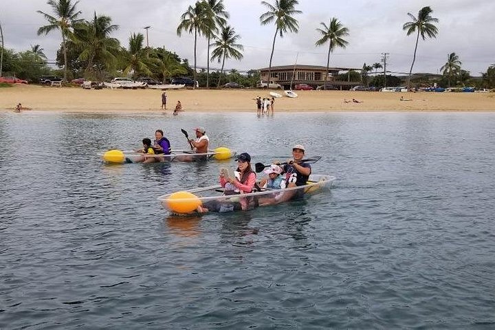 Clear-Bottom Kayak Tour, Guaranteed to See Turtles, photo 10 of 10