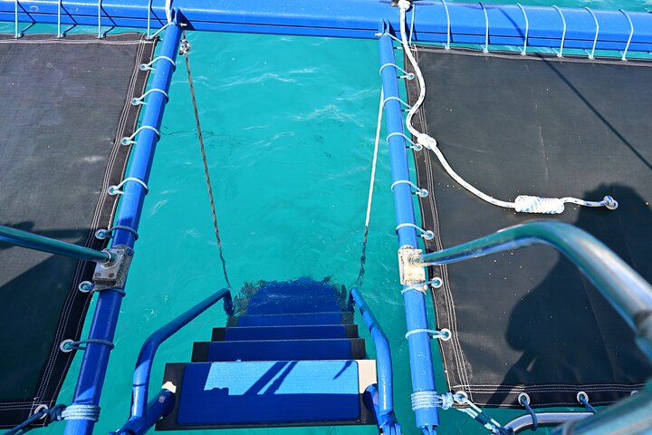 Oahu Catamaran Snorkel Tour: Turtles Guaranteed, photo 3 of 10