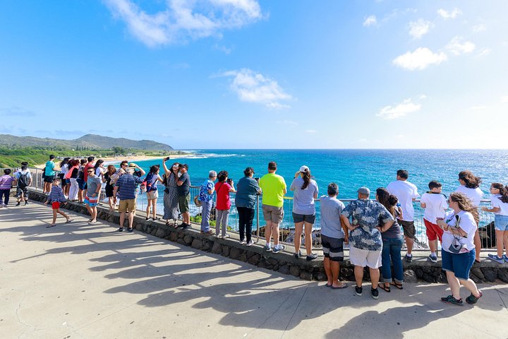 Oahu: North Shore Tour with Waimea Waterfall, photo 5 of 10