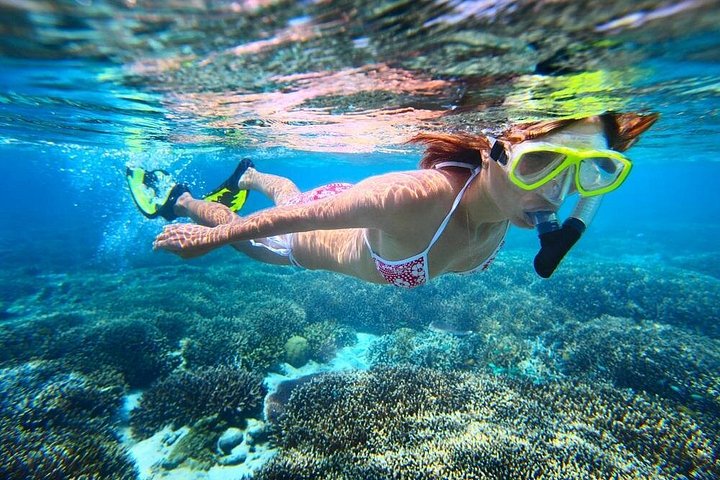 Ko Olina Dolphin Watch and Snorkel Sail with Lunch, photo 10 of 10