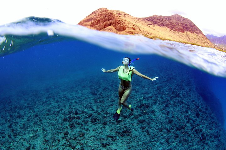 Luxury Snorkel Cruise with Dolphin Watch and Hawaiian Meal, photo 2 of 10