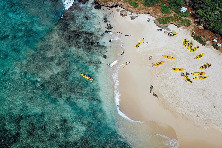 Kailua Bay, Oahu: Kayak and Snorkel to the Islands, photo 6 of 10