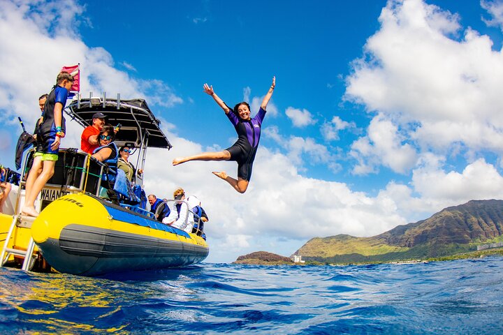 Wild Dolphin Watching and Snorkel Safari off the West Coast of Oahu, photo 4 of 10