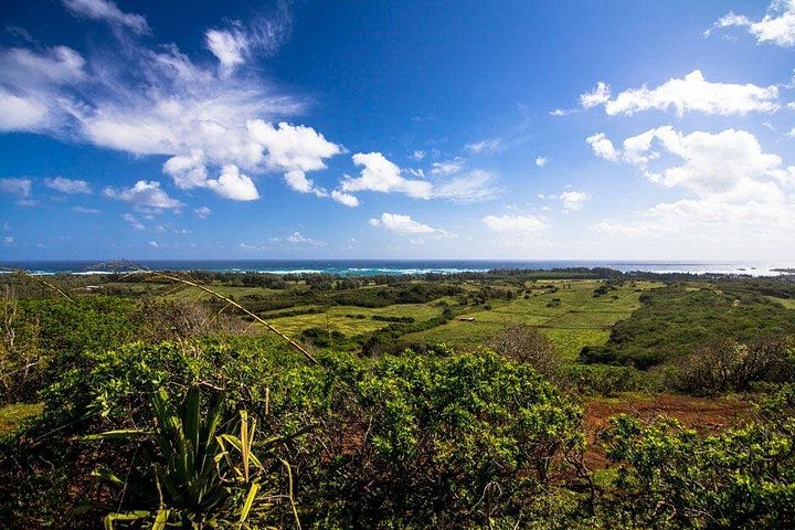 Horseback Ride Like an Authentic Paniolo in Kahuku, photo 6 of 7