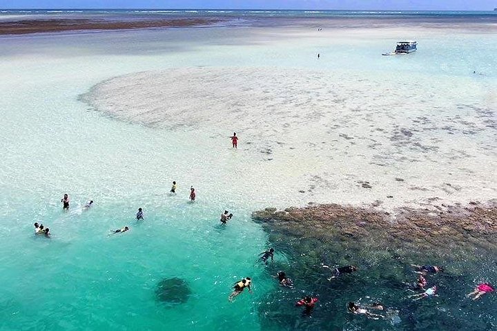 Kaneohe Sandbar Snorkeling Tour, photo 8 of 10