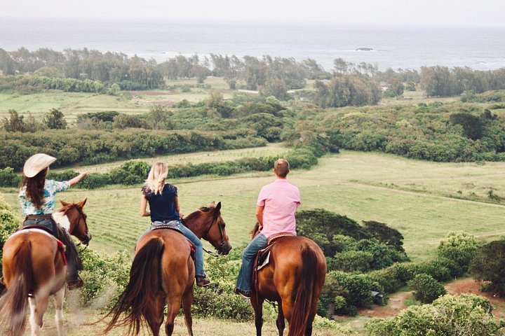 Oahu Sunset Horseback Ride on the North Shore, photo 4 of 6