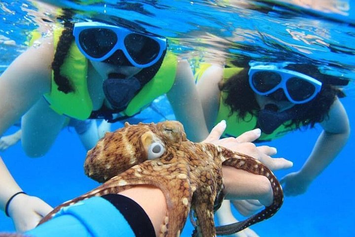 Ko Olina Catamaran Sail and Snorkel with Lunch, photo 5 of 10