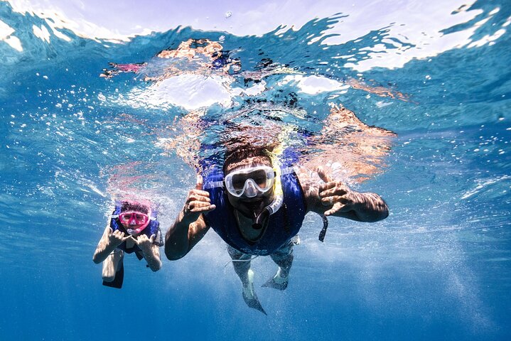Waikiki Turtle Canyon Snorkel Turtles Guaranteed, photo 6 of 10