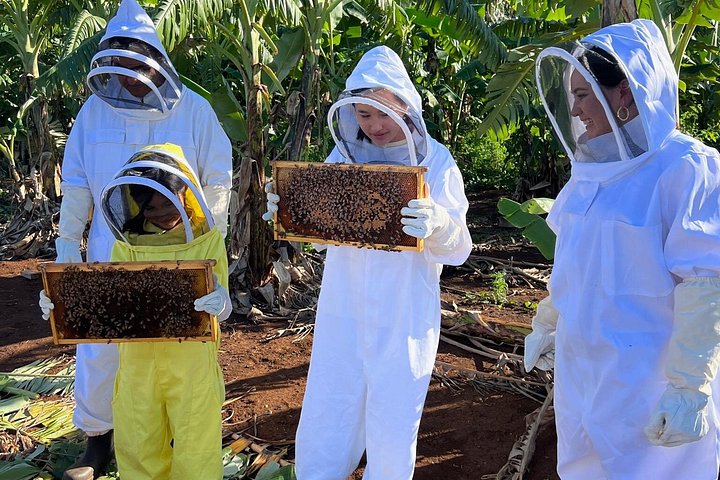 Bee Farm Ecotour and Honey Tasting in Waialua, North Shore Oahu, photo 9 of 10