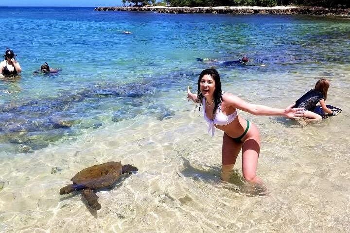 Kevo's Beach Bus Paddleboard and Snorkel Adventure, North Shore, photo 6 of 10