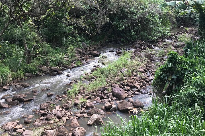 North Shore and Waimea Falls Day with a Turtle Swim, photo 3 of 10