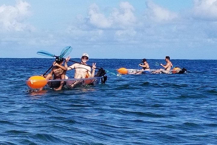 Clear-Bottom Kayak Tour, Guaranteed to See Turtles, photo 4 of 10