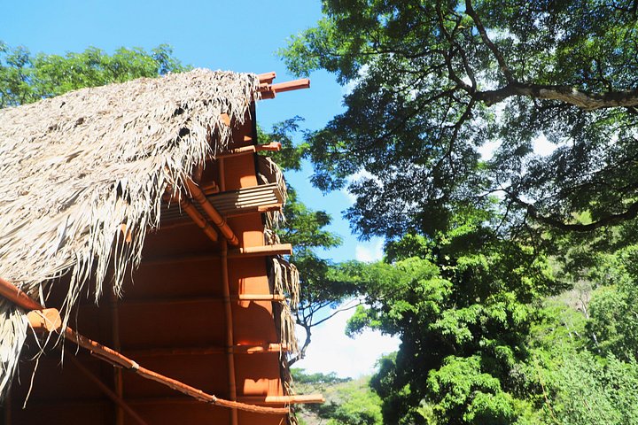 Waimea Valley Waterfall Swim and Dole Plantation Tour with Lunch, photo 6 of 10
