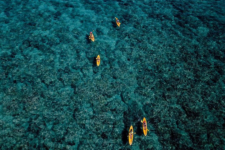 Self-Guided Kayaking Discovery in Kailua, Oahu, photo 5 of 6