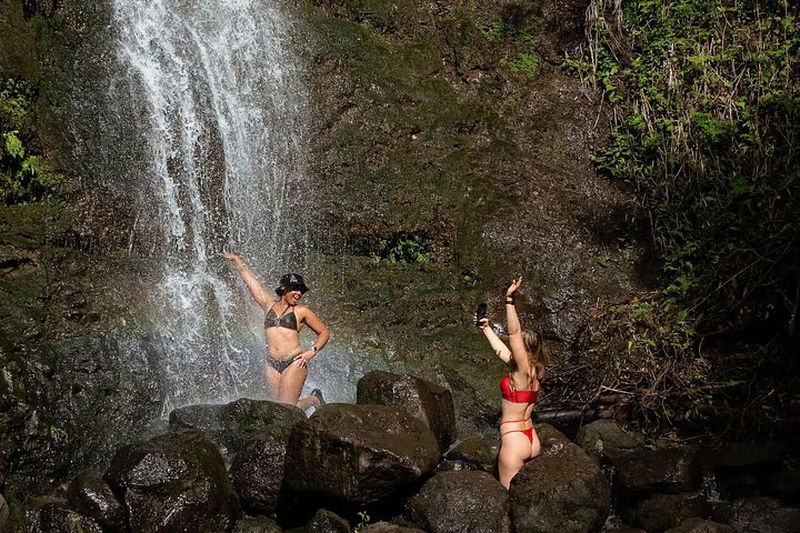 Hike to a Tropical Waterfall with Pickup, photo 9 of 10
