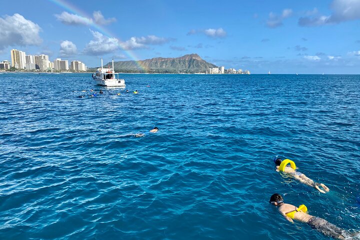 Waikiki: Small Group Turtle Canyon Snorkel Boat Tour, photo 6 of 10