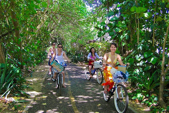 Ko Olina to the North Shore: Waimea Falls and Dole, photo 3 of 8