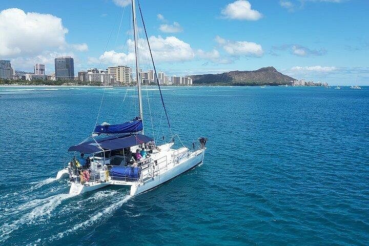 Waikiki Best Whale Watching in Honolulu: Whales Guaranteed, photo 10 of 10