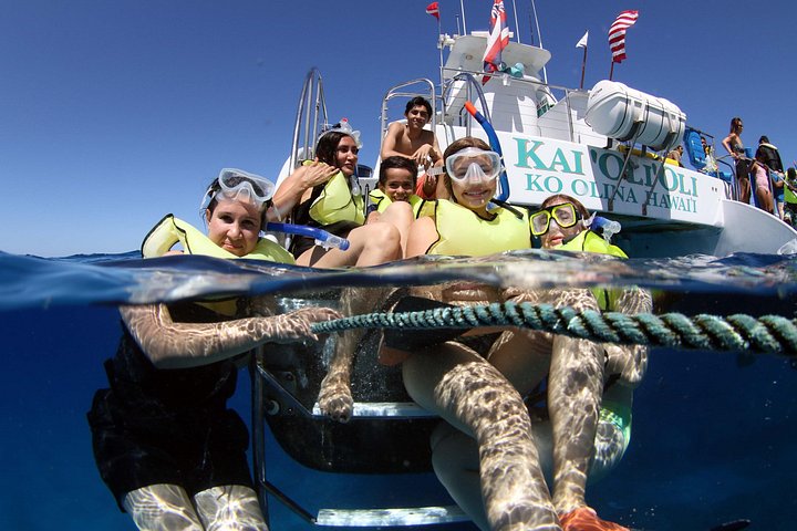 Luxury Snorkel Cruise with Dolphin Watch and Hawaiian Meal, photo 6 of 10