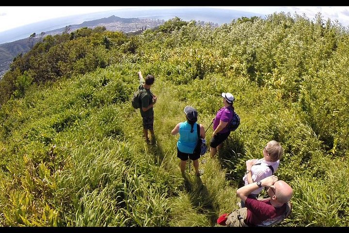 Oahu Volcanic Rainforest Hiking Adventure, photo 2 of 8