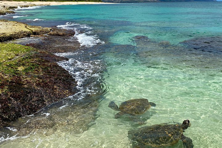 Ko Olina to the North Shore: Waimea Falls and Dole, photo 2 of 8