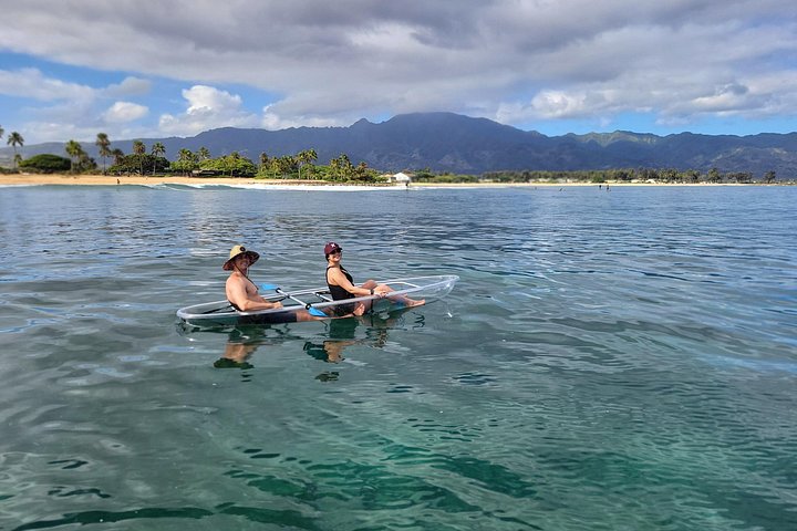 Clear-Bottom Kayak Tour, Guaranteed to See Turtles, photo 7 of 10