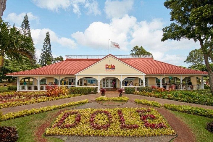 Oahu Northshore Island Tour, photo 8 of 10