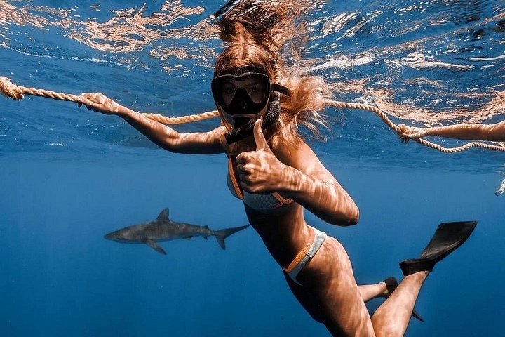 Open Water Shark Dive, photo 9 of 10