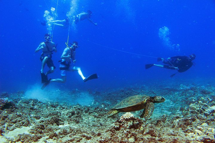 Ko Olina Catamaran Sail and Snorkel with Lunch, photo 10 of 10
