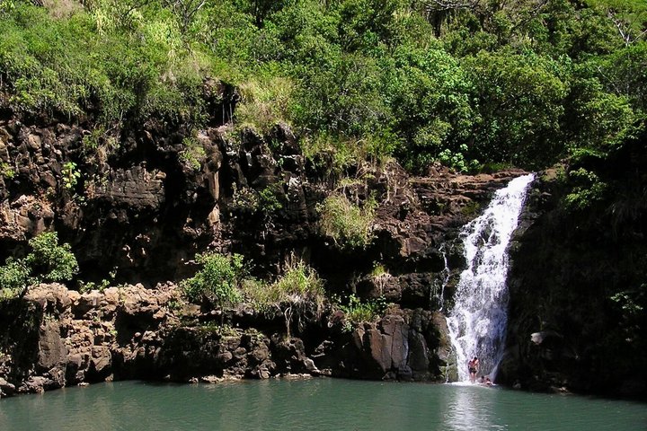 Oahu North Shore Fun: Waimea Waterfall and Turtle Snorkeling, photo 5 of 10
