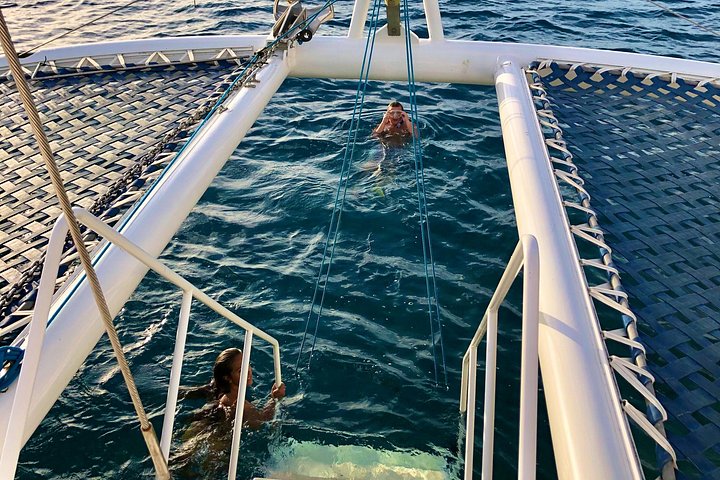 Moana Waikiki Grand Guided Turtle Snorkel and Sailing Adventure, photo 5 of 10