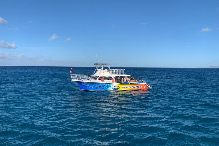 Waikiki: Sunset Whale Watch, Whales Guaranteed or Free Return, photo 8 of 10