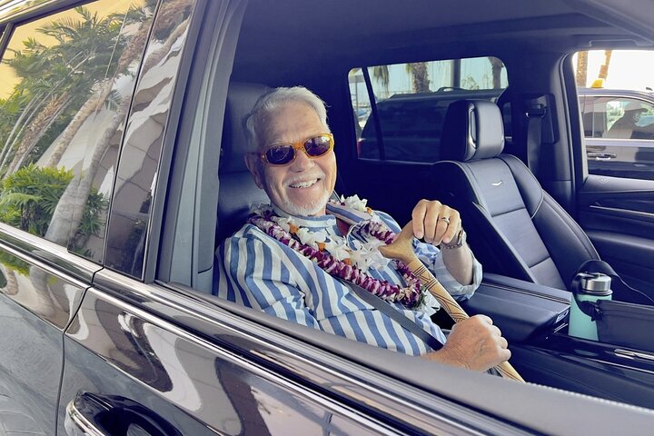 Honolulu Business Airport Transfer to or from a Hotel or the Cruise Port, photo 2 of 7
