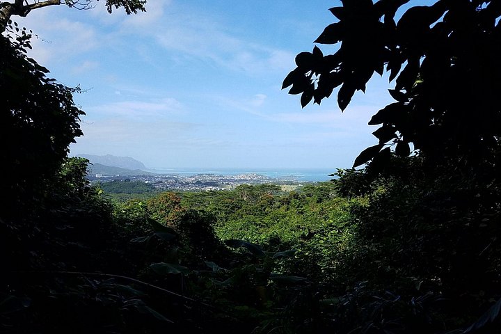 Oahu Hidden Waterfall Hike, photo 6 of 6
