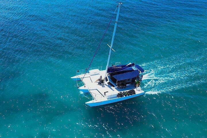 Waikiki Best Whale Watching in Honolulu: Whales Guaranteed, photo 6 of 10