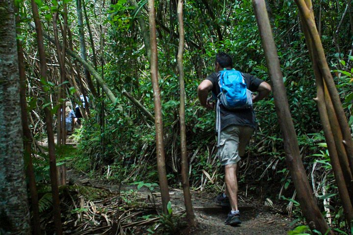 Kualoa Ranch, Best of Kualoa Experience Package, photo 9 of 10